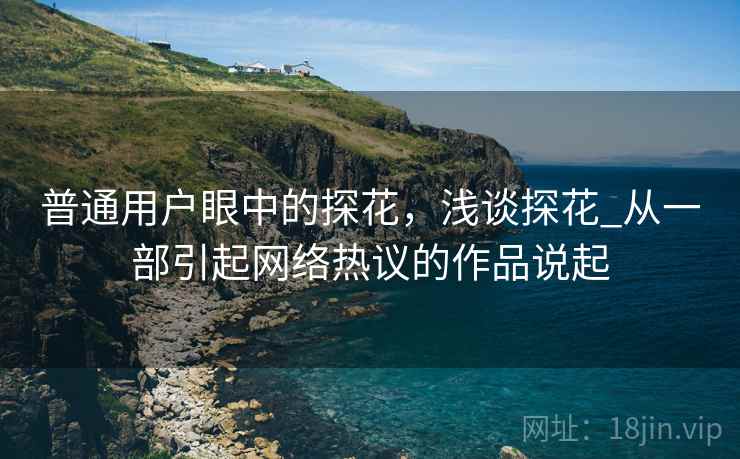 普通用户眼中的探花，浅谈探花_从一部引起网络热议的作品说起