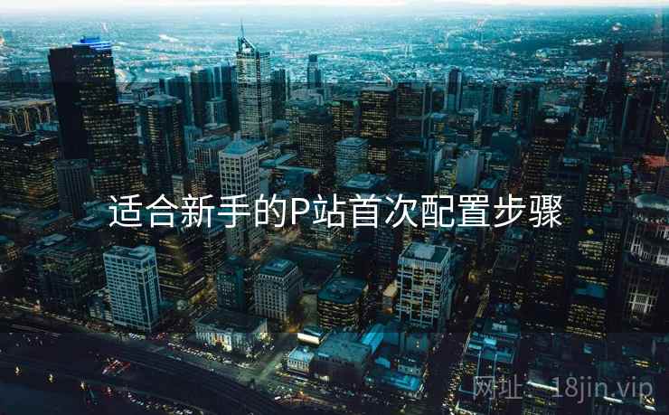 适合新手的P站首次配置步骤
