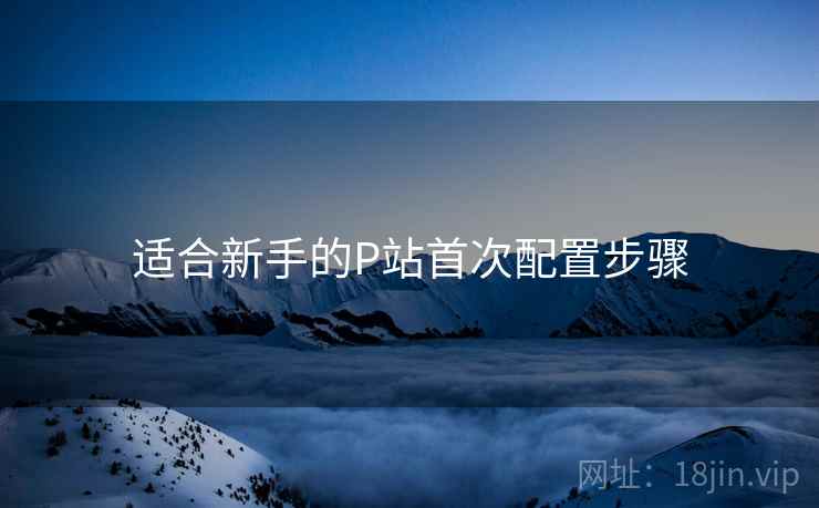 适合新手的P站首次配置步骤