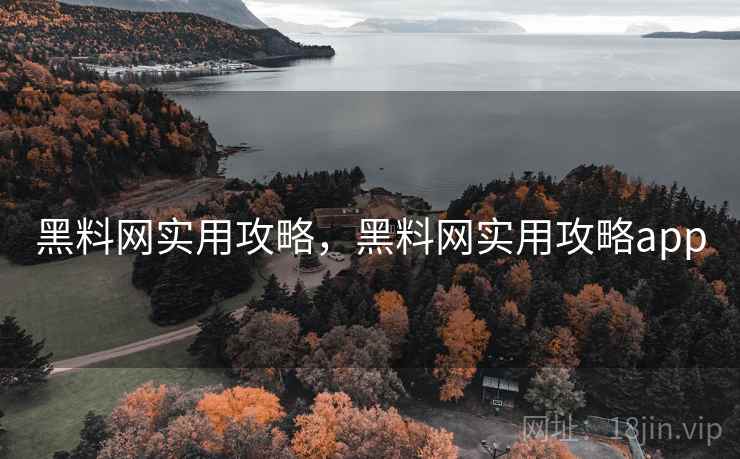 黑料网实用攻略，黑料网实用攻略app