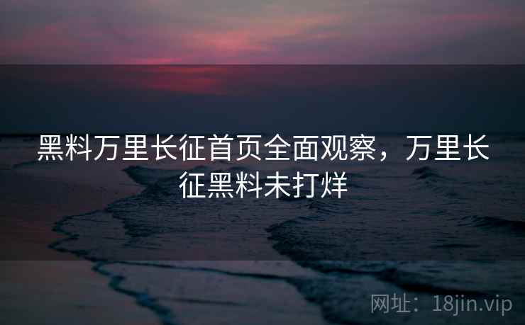 黑料万里长征首页全面观察，万里长征黑料未打烊