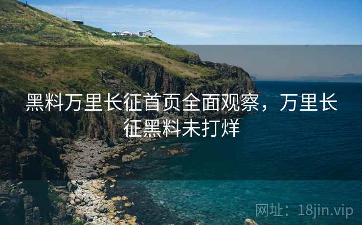 黑料万里长征首页全面观察，万里长征黑料未打烊