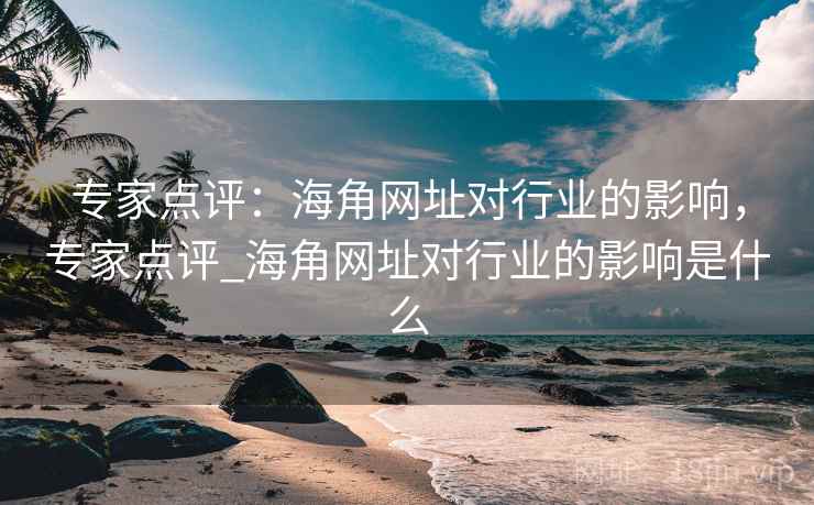 专家点评：海角网址对行业的影响，专家点评_海角网址对行业的影响是什么