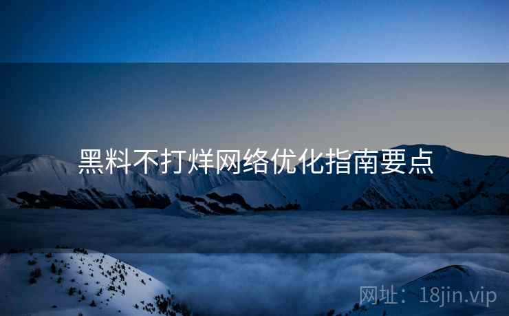 黑料不打烊网络优化指南要点