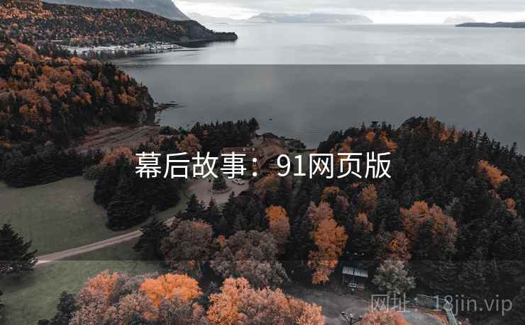幕后故事：91网页版