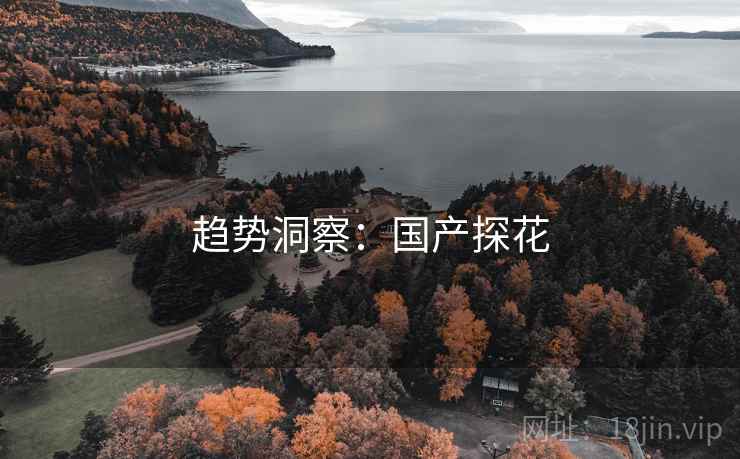 趋势洞察：国产探花