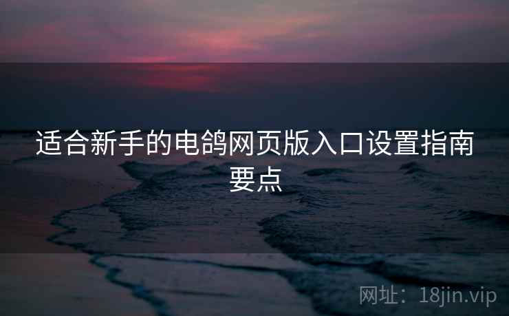 适合新手的电鸽网页版入口设置指南要点